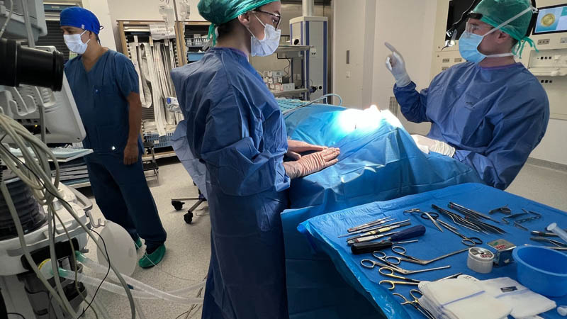 armonia de la nariz con una rinoplastia | arreglar el problema de tabique desviado